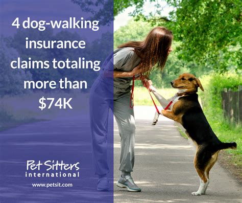Protect Your Dog Walking Business with Comprehensive Insurance Coverage.